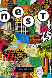 The Best of Nest: Celebrating the Extraordinary Interiors from Nest Magazine by Todd Oldham and Joe Holtzman