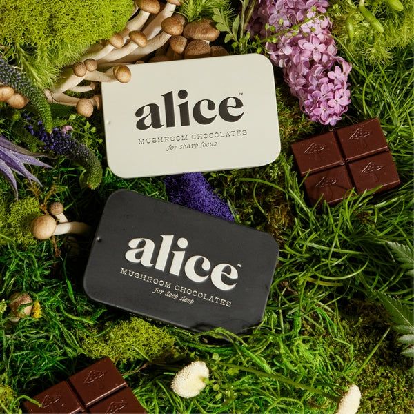 Alice Mushrooms The Duo