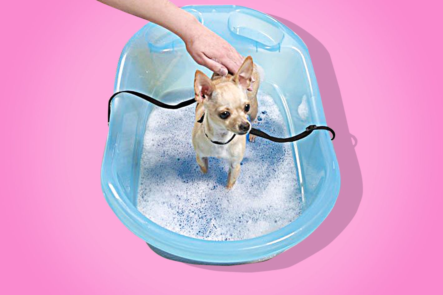 Plastic Home Use Pet Dog Cat Washing Shower Grooming Bath Tub