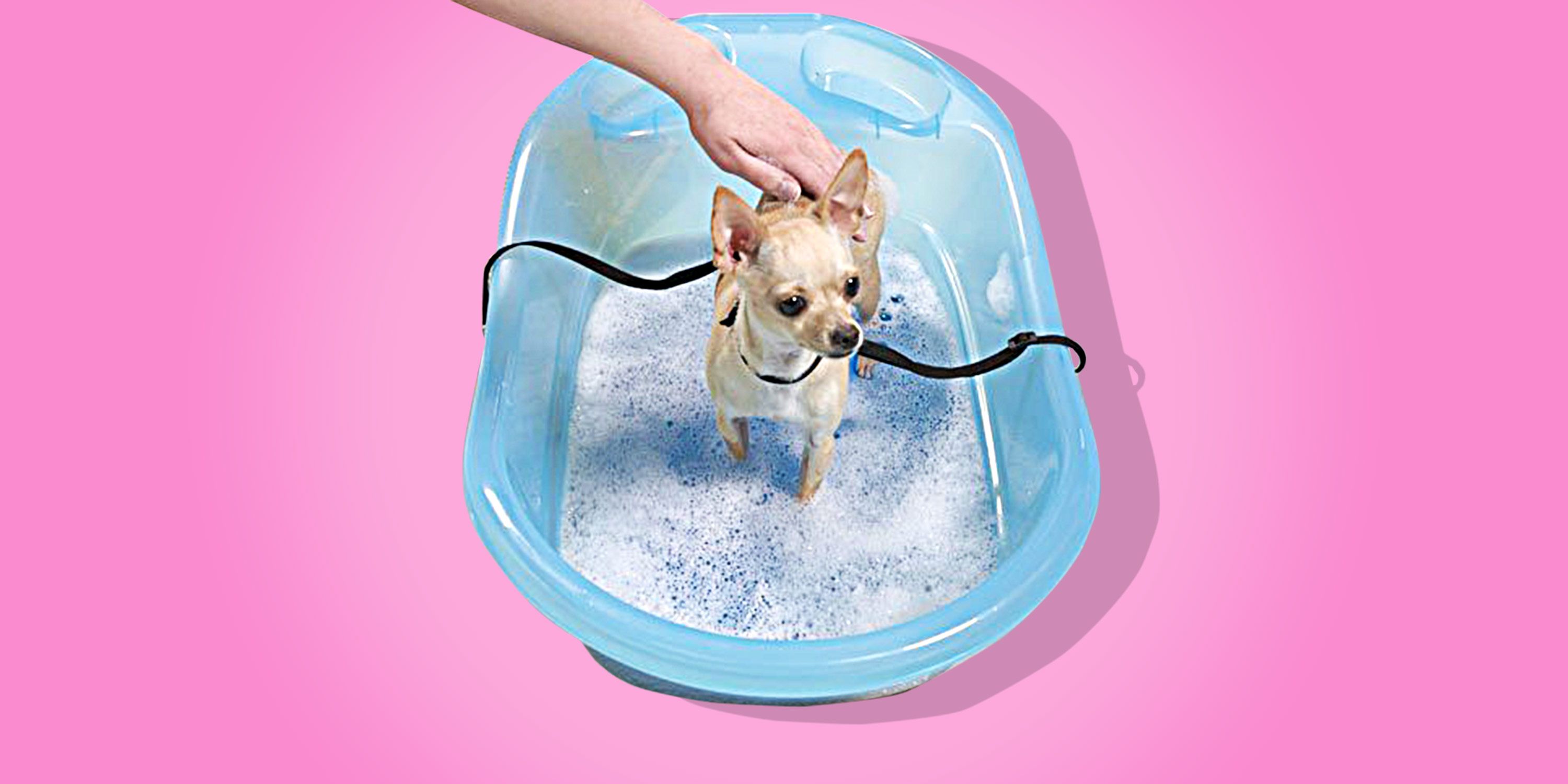 The Best Dog Bathtub Pet Gear Review, Washing Dog In Bathtub