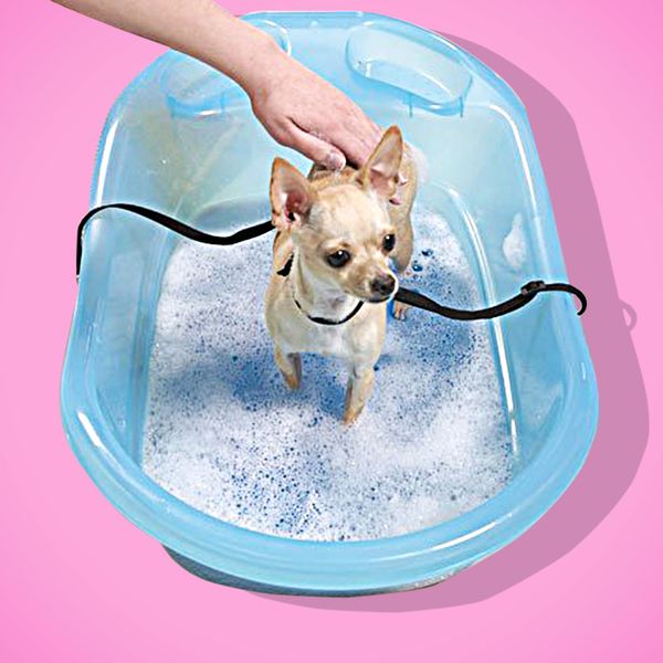 Pet Gear Pup Tub