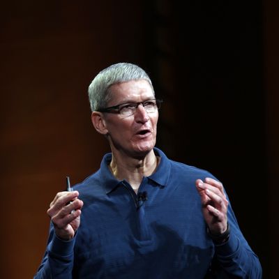 Apple CEO Tim Cook speaks during Apple's special event to introduce the iPad Mini at the California Theatre in San Jose, California on October 23, 2012. Anticipation built Tuesday as Apple prepared to unwrap its 