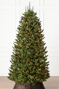 Balsam Hill Fraser Fir Narrow Christmas Tree