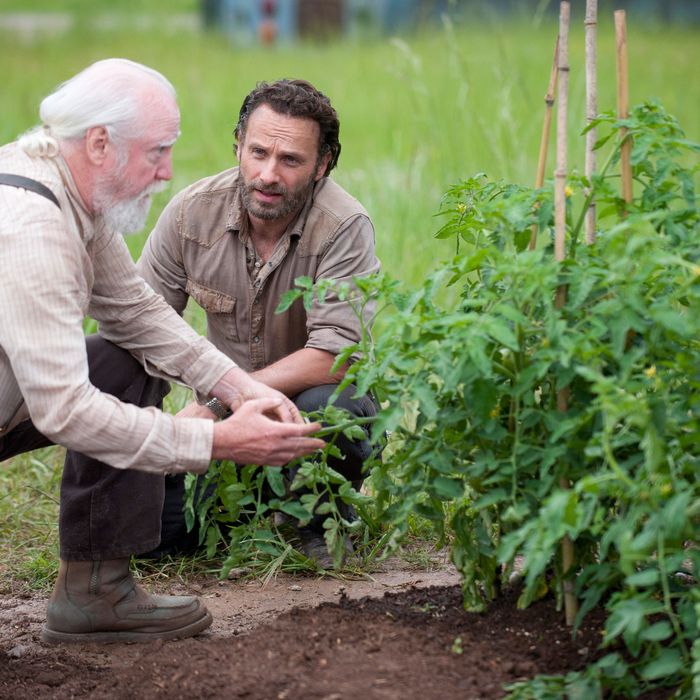 Hershel Greene (Scott Wilson) and Rick Grimes (Andrew Lincoln) - The Walking Dead 