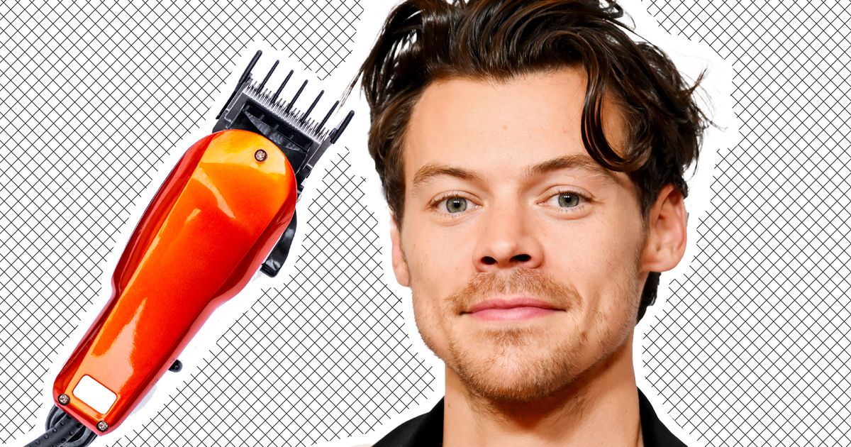 Harry Styles’ New Haircut Singer Sports Buzz Cut in Vegas