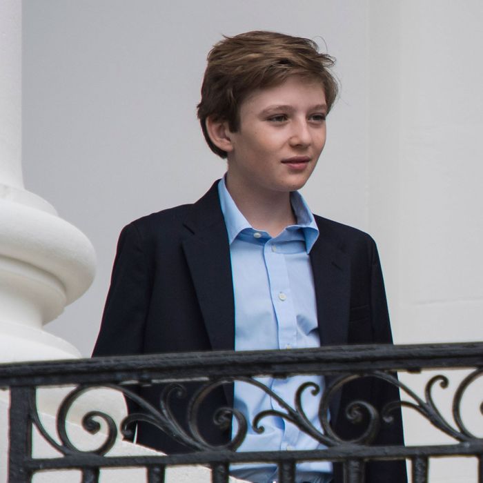 Here's Where Barron Trump Will Go to School in D.C.