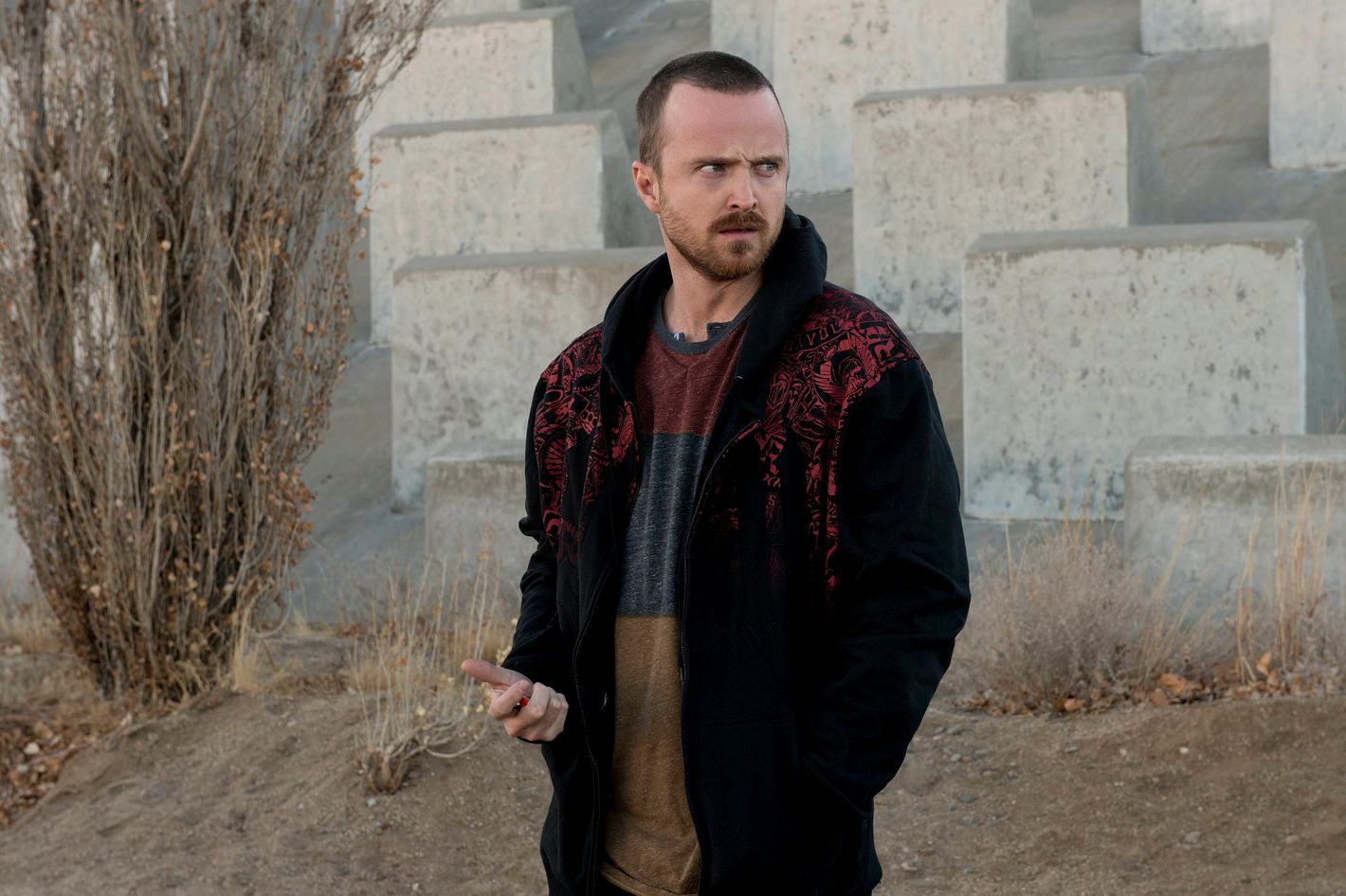 What Jesse Knows And What We Still Don T Know About The Ricin On Breaking Bad
