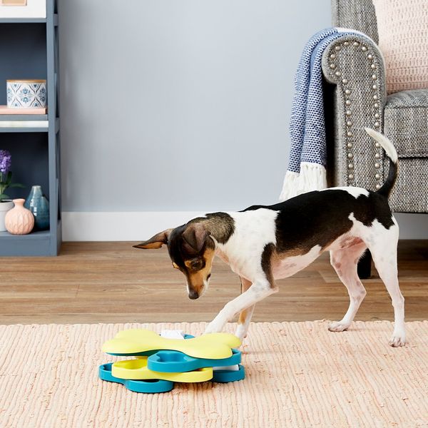 puzzle toys for small dogs