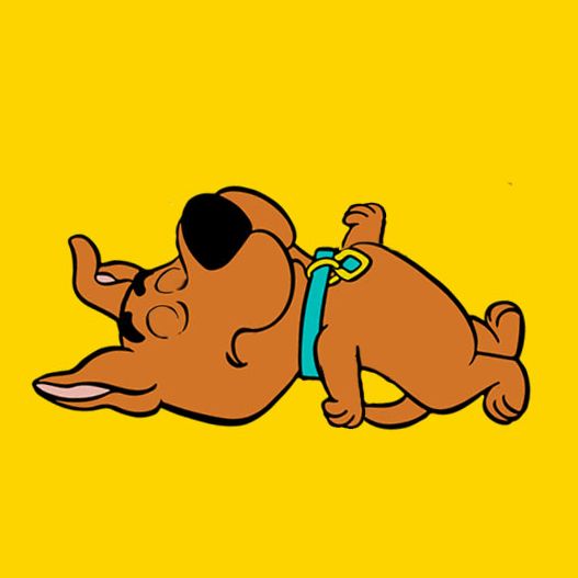 Scrappy Doo Found Dead In Miami Explained