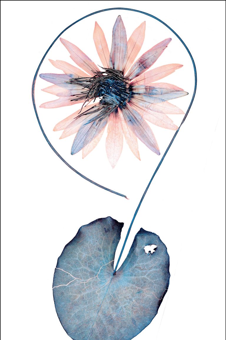 Instagram & Florals Photos From Nick Knight’s New London Exhibit