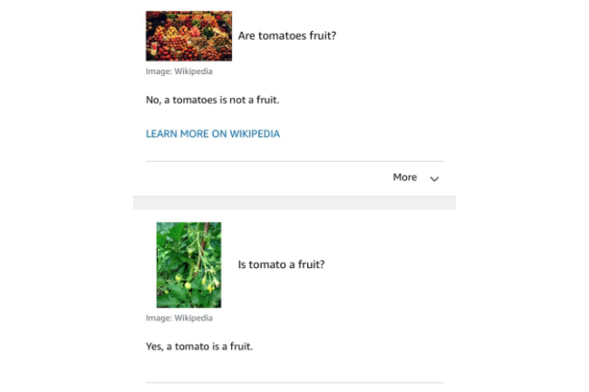 A screenshot of a chat log between the author and her Alexa device.