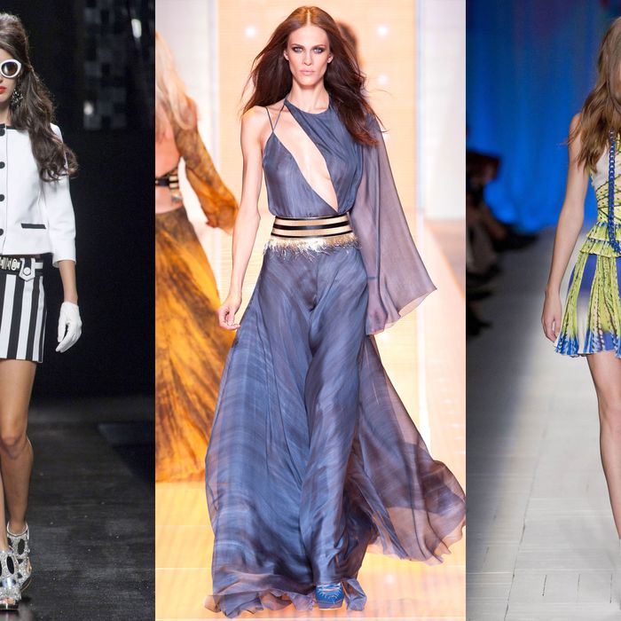 Moschina, Versace, Just Cavalli
