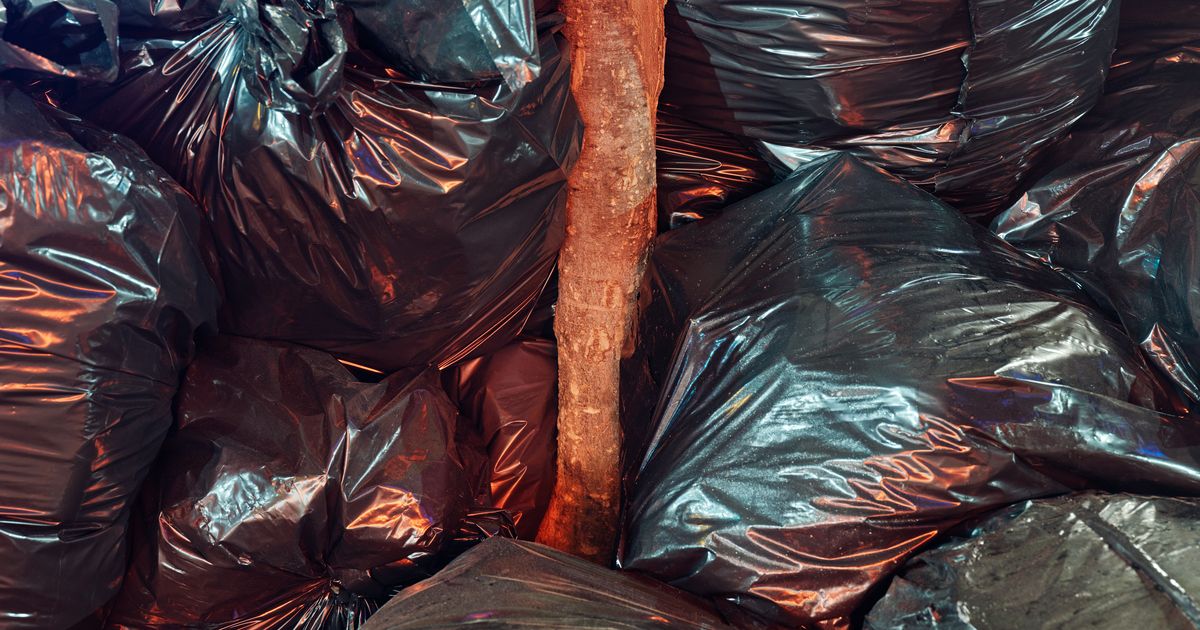 It’s Hot Garbage Month on Curbed