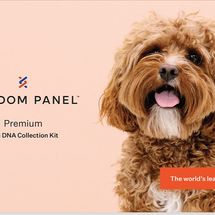 Wisdom Panel Premium Dog DNA Test