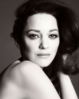 actress marion cotillard