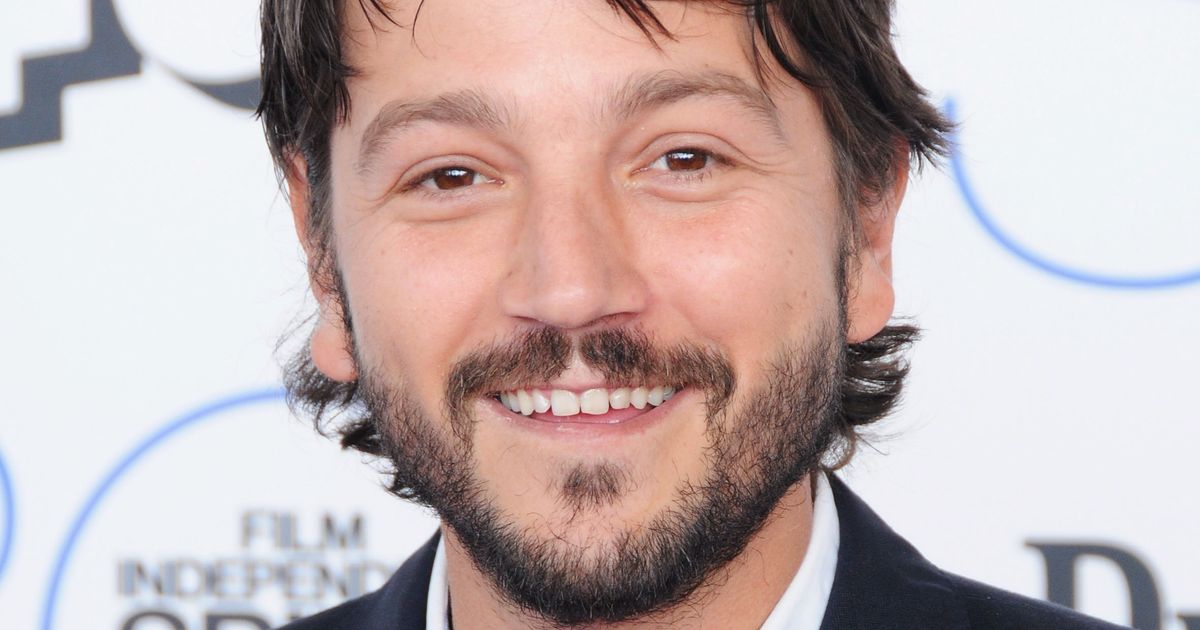 Diego Luna Will Hunk Up Star Wars: Rogue One