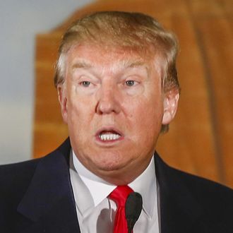 Donald Trump campaigns for the Iowa Caucus