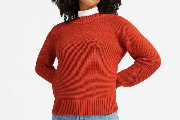 Everlane Link-Stitch Crewneck Sweater