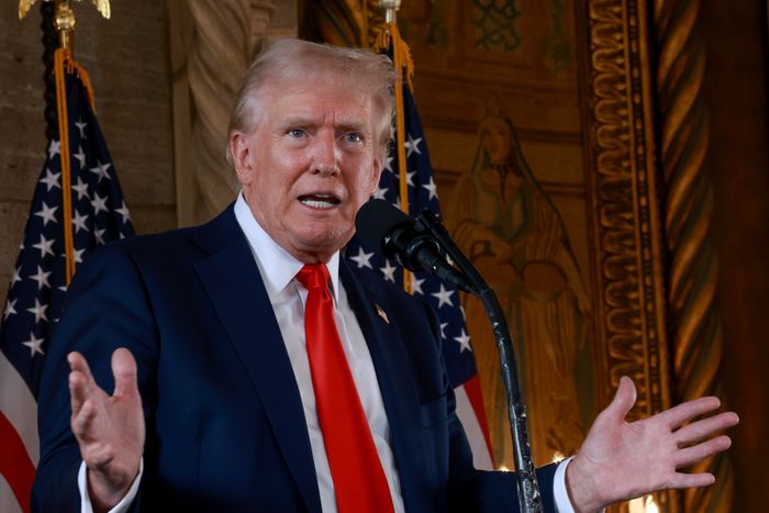 Republican Presidential Nominee Donald Trump Speaks To The Press In Palm Beach, Florida