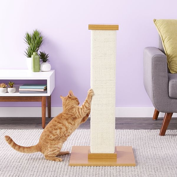 SmartCat the Ultimate Scratching Post