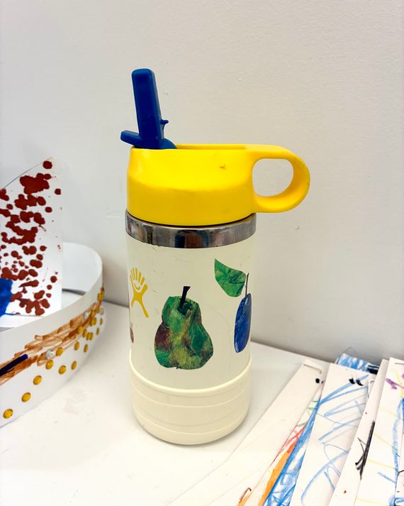 Photo of Corsillo's son's Eric Carle 12 ounce HydroFlask water bottle on a shelf at school.