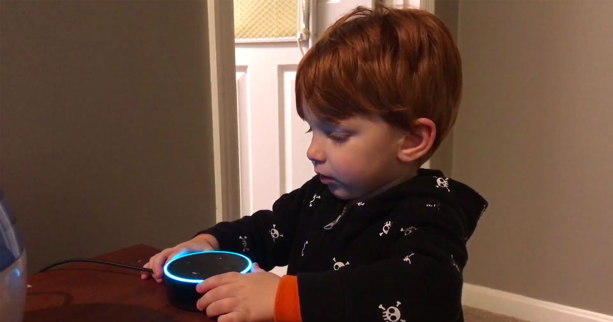 Kid Accidentally Gets Amazon Alexa to Talk About Dildos