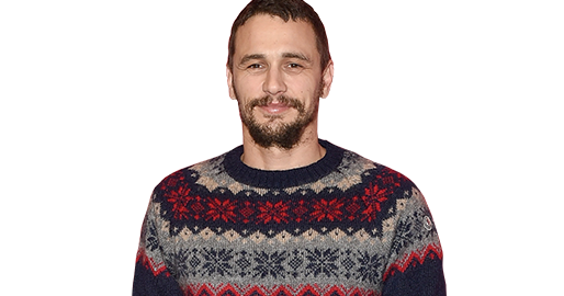 james franco this is the end sweater