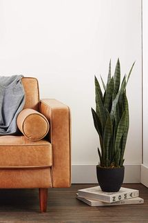 Nearly Natural Sansevieria Snake Plant with Black Planter
