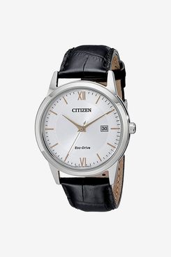 Citizen Men's Eco-Drive Stainless Steel Watch with Date