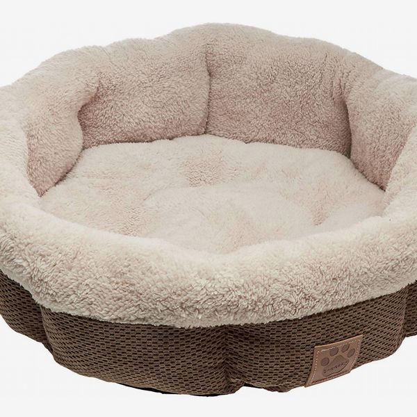 17 Best Dog Beds 2020 | The Strategist 