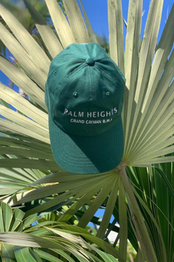 Palm Heights Baseball Cap