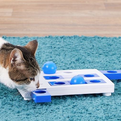 catit puzzle feeder