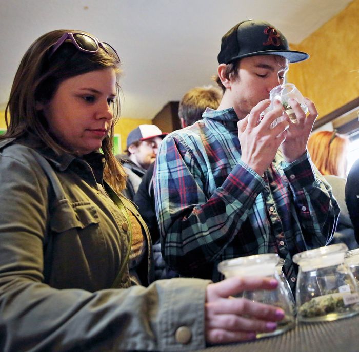 Customers, left to right, Alli Bertucci, Patrick Bean, and Ali Regan shop for marijuana inside the retail store at 3D Cannabis Center, in Denver, Friday Feb. 14, 2014. The marijuana industry breathed a sigh of relief Friday after federal banking regulators issued long-awaited permission for them to access basic banking services. (AP Photo/Brennan Linsley)