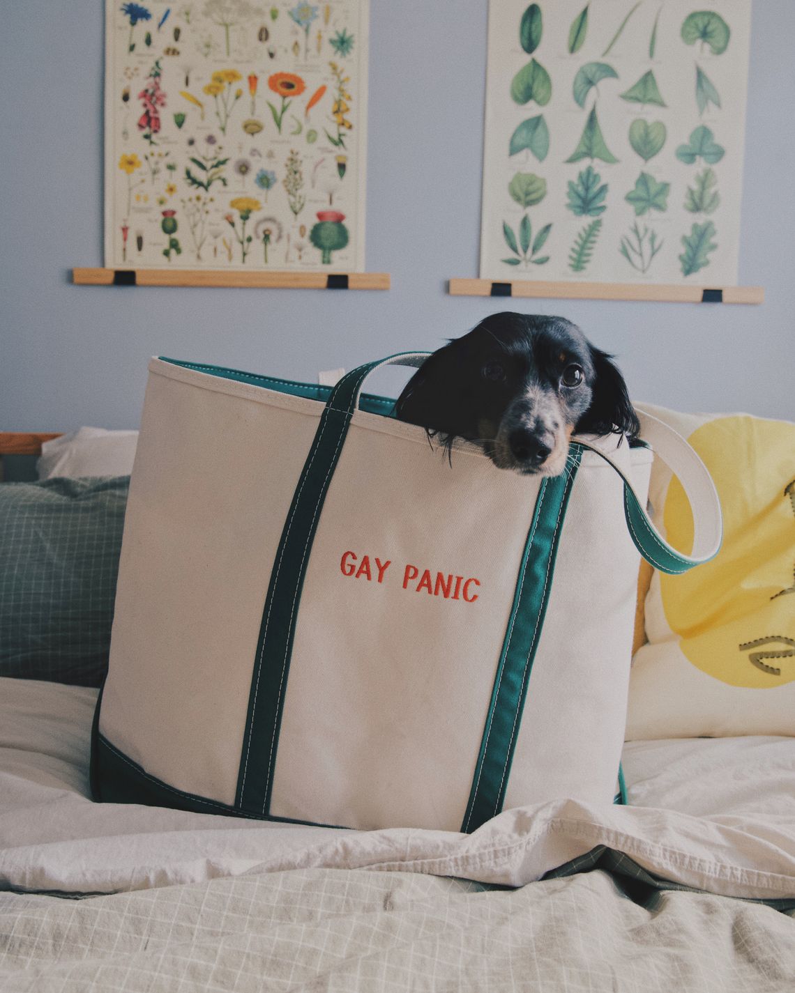 The BEST Ironic Boat and Tote Ideas - The Page Avenue