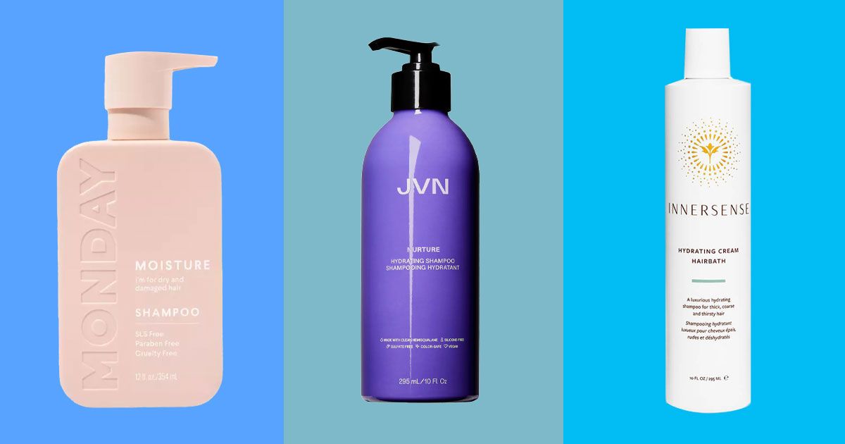 Høre fra Rejsebureau nevø 10 Best Shampoos for Dry Hair 2023 | The Strategist