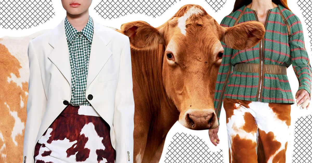 why-is-cow-print-everywhere