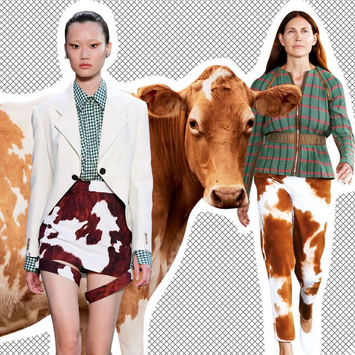 Why Is Cow Print Everywhere?