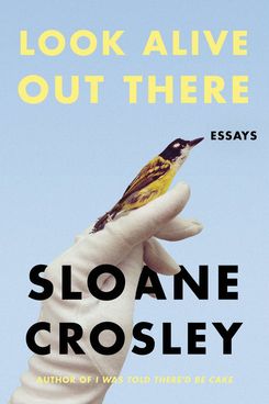 “Look Alive Out There,” by Sloane Crosley (FSG, April 3)