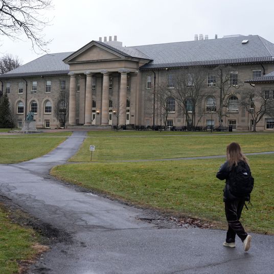 Cornell Investigation