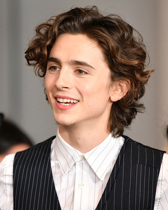 15 Very Good Photos Of Timothée Chalamet’s Very Good Hair