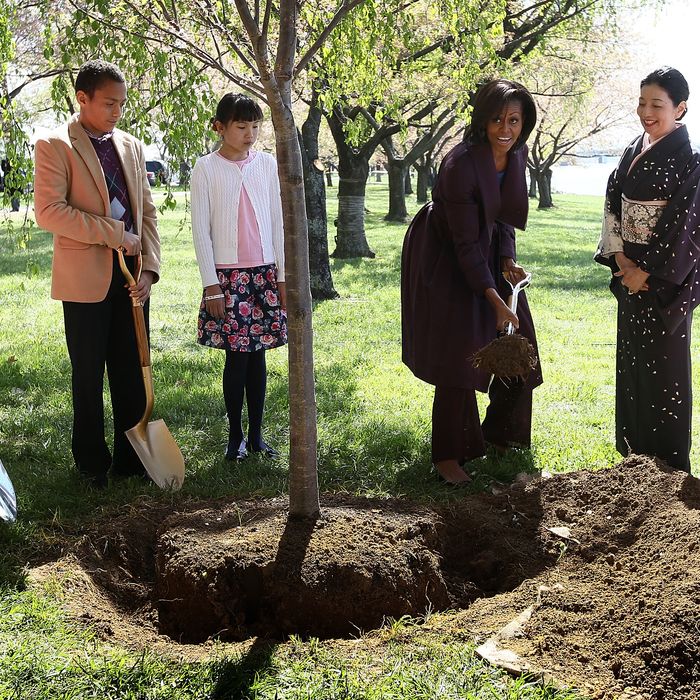 WASHINGTON, DC - MARCH 27: U.S. first lady Michelle Obama (3rd R) takes part in a 1912 Cherry Blossom tree planting re-enactment ceremony with Yoriko Fujisaki (2nd R) near the Tidal Basin and along the Potomac River March 27, 2012 in Washington, DC. 2012 marks the 100th anniversary since the United States received 3,000 Cherry Blossom trees as a gift from Japan symbolizing the friendship between the two countries. (Photo by Win McNamee/Getty Images)
