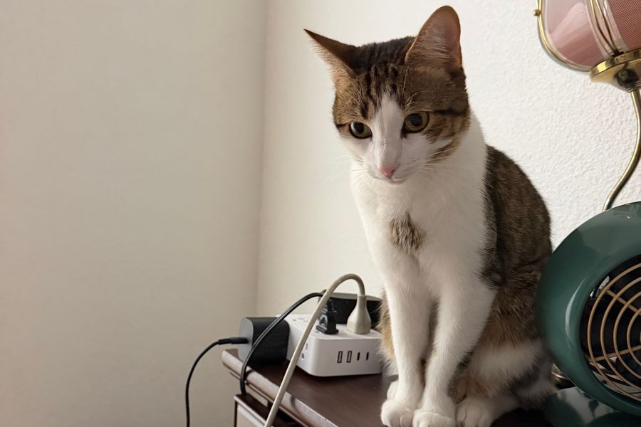How I’d Solve 4 Cable-Management Problems