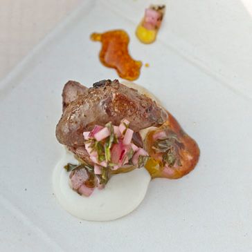 Jon Shook和Vinny Dotolo, Animal