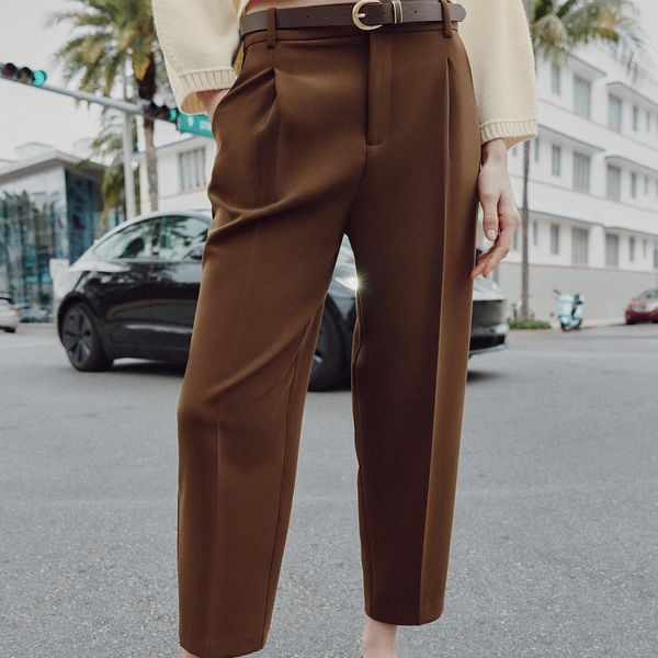 Zara Belted Pleated Pants