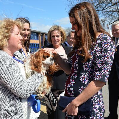 Kate and puppy.