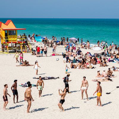 Miami Beach, Florida, crowded beach with sunbathers, lifeguard station