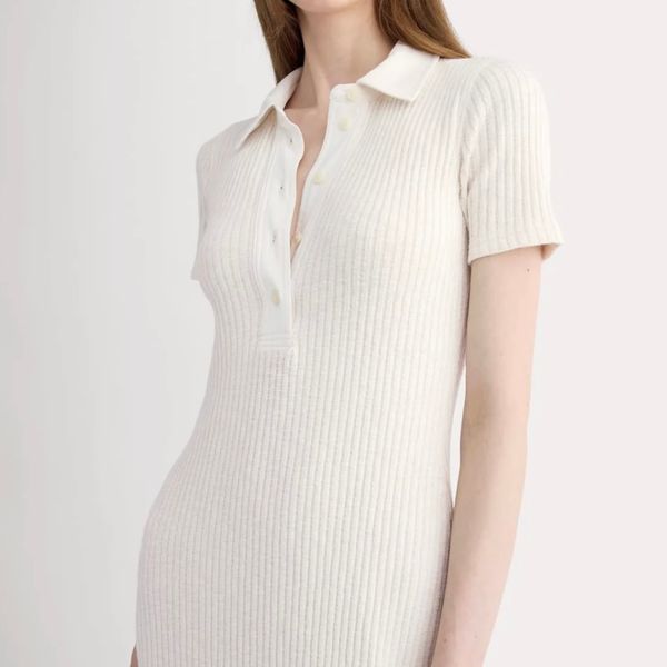 Everlane The Cozy Rib Polo Dress