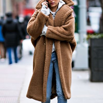 Best Teddy Coats for Fall 2018 The Strategist