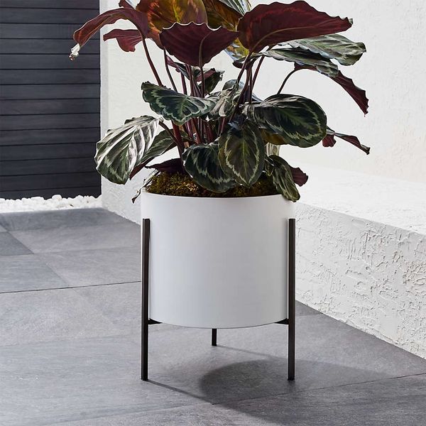 Crate and Barrel Dundee Indoor/Outdoor Low Planter with Stand