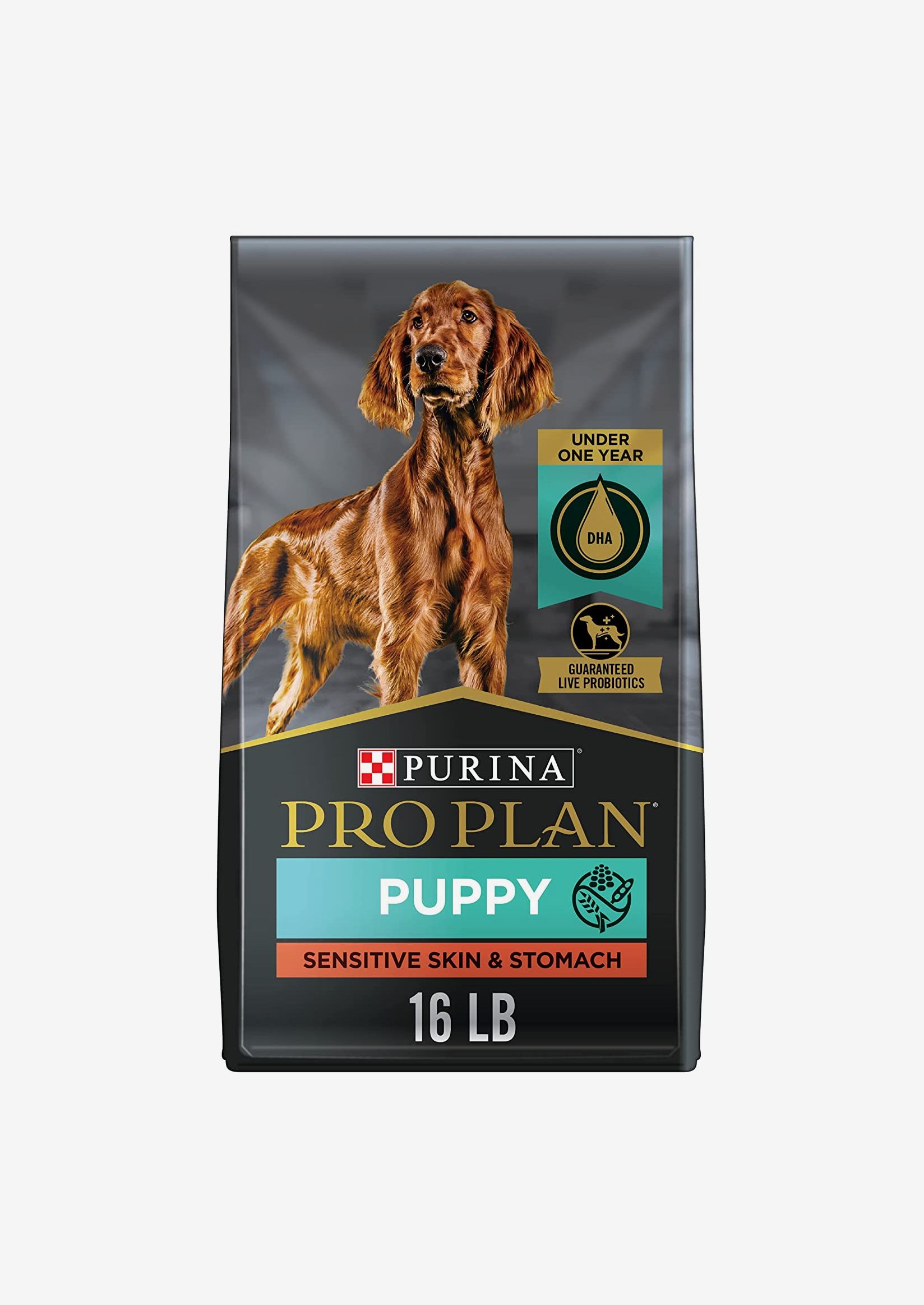 Best dog food for shop 8 week old puppy